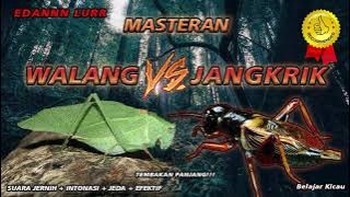 MASTERAN WALANG VS JANGKRIK, EDAN LUR !!! - Belajar Kicau