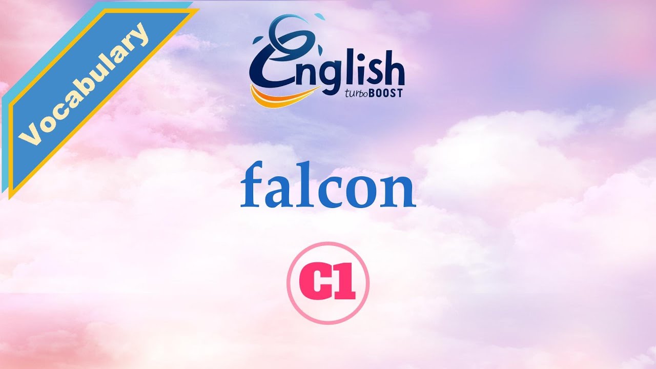 Falcon - Meaning, Pronunciation, & Examples | C1 | Learn English Vocabulary
