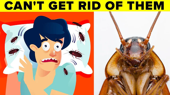 Scientists Explain Why You Can't Get Rid of Cockroaches - DayDayNews