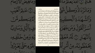 سورة الرعد من آية ٨ إلى آية ١٣ بصوت القارئ ماهر المعيقلي القرآن الكريم