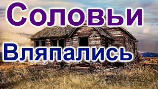 Соловьи. Вляпались с покупкой дома