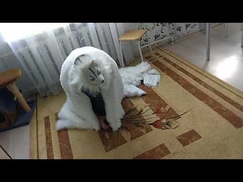 Реакция котов на маску волка