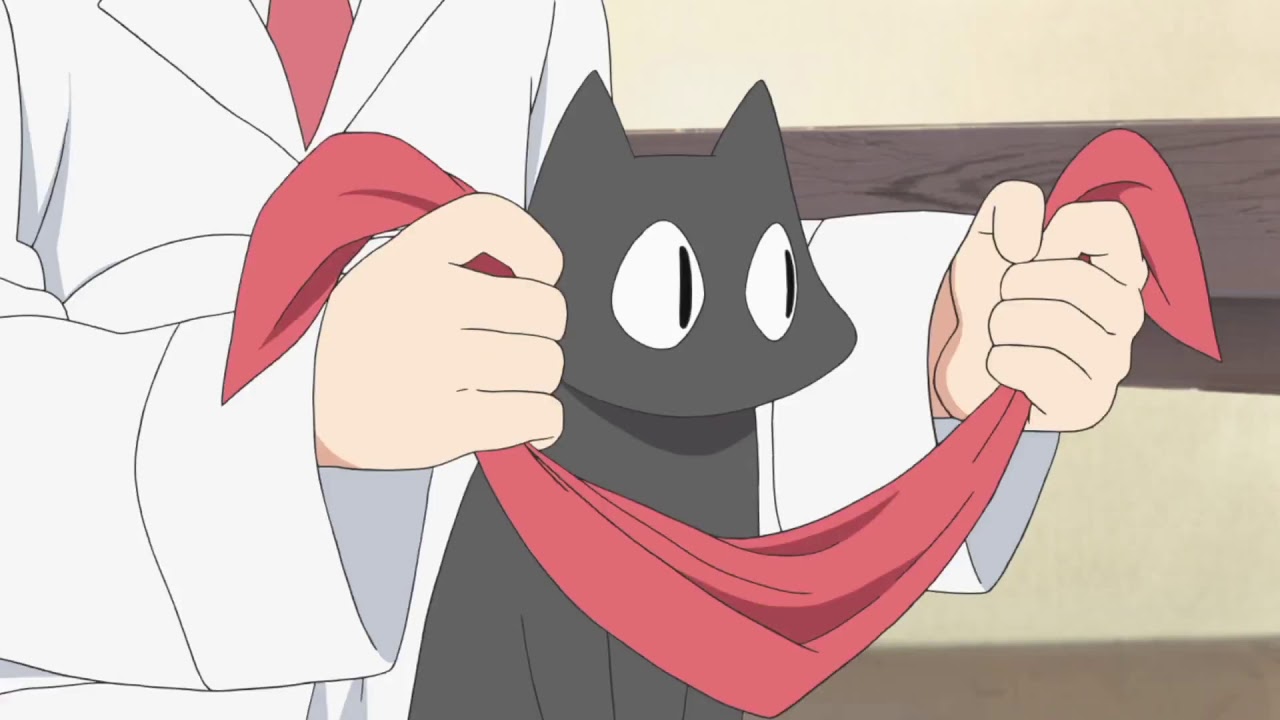 Talking Anime Cat Demands Respect: Sakamoto-san From My Ordinary Life - I  Can Has Cheezburger?