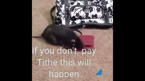 THIS IS WHAT WILL HAPPEN IF YOU DON