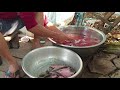 Preparing the fish to mix with salt, seasoning, sugar, and dry