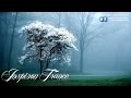 Armin van Buuren feat. Cindy Alma - Beautiful Life vs. Estiva - Teddybeats (Armin van Buuren Mashup)