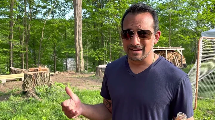 Woodmizer LT15 lowering issue RESOLVED!!