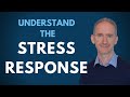 Don&#39;t Stress! Understand the Stress Response instead!