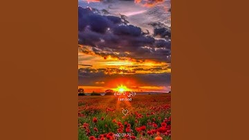 قران كريم 🌸ارح سمعك🌺 #follow #اكسبلور #like #viral #لايك #قران_كريم #راحة_نفسية