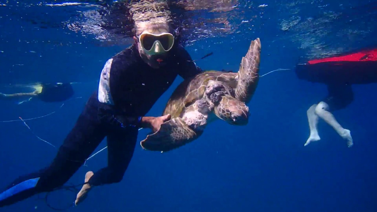 Our tour guide Leo saving the Turtle with Seabob Aruba .Thank you Leo