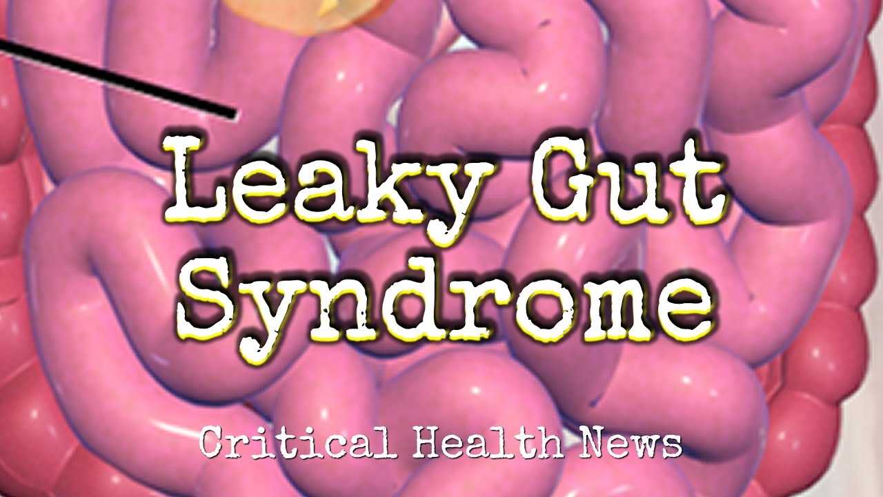 Leaky Gut Syndrome - Pharmacist Ben Fuchs - Moment of Truth
