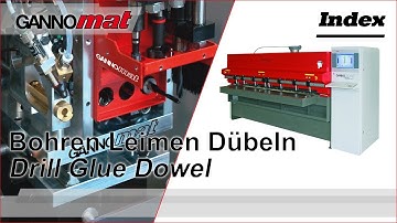 GANNOMAT Index Pro / Bohr- und Dübeleintreibmaschine / Drill Glue and Dowel Machine