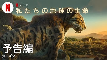 私たちの地球の生命 (シーズン 1) | 日本語の予告編 | Netflix