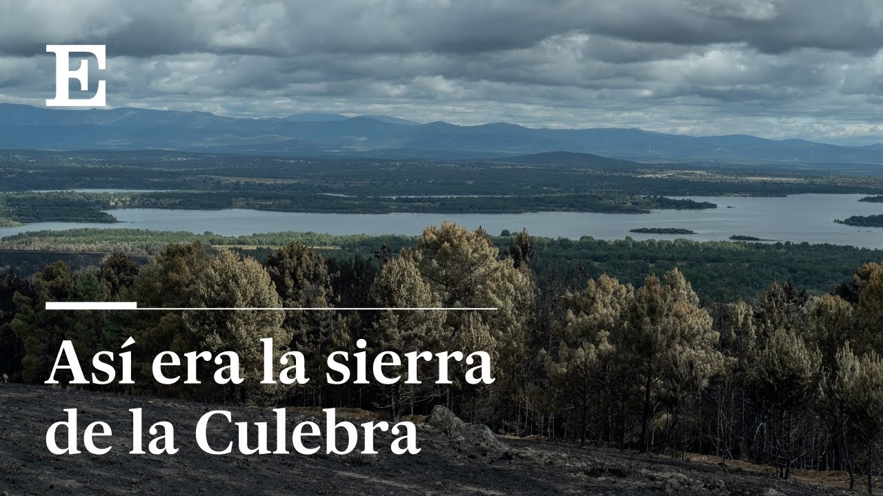 El mayor incendio de Castilla y León: así era la sierra de la Culebra | El País