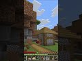 Minecraft-Armadillos ❤️