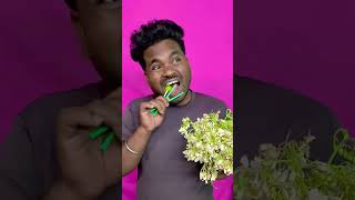 Moringa & Red Rose candy By technical fuchkul