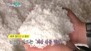 6시 내고향 - 시골길따라 인생길따라 - 충북 괴산.20161226