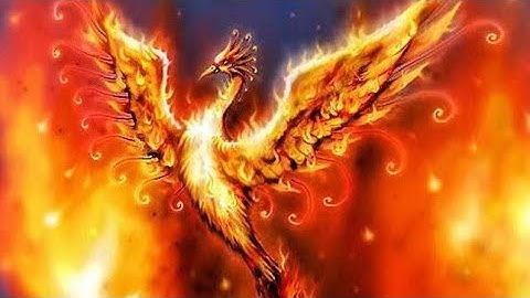 Hiệu Ứng Intro💞phượng Hoàng Lửa🔥Tuyệt Đẹp.