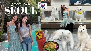 SOLO in SEOUL VLOG 🇰🇷 samoyed cafe, fwee pop up in seongsu and lunch at saladaeng embassy