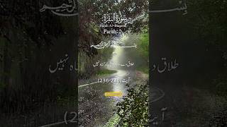 Download Lagu Surah Al Baqarah Ayat 236-240 #quran #qurantranslation #surahalbaqarah MP3 Download Lagu Surah Al Baqarah Ayat 236-240 #quran #qurantranslation #surahalbaqarah MP3
