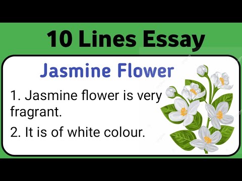 essay on jasmine flower for class 4