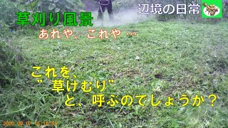 【草刈り】これを”草けむり”と、呼ぶのでしょうか？