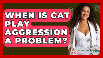 When Is Cat Play Aggression A Problem? - Ask A Pet Vet