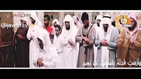القارئ : بدر عسيري .