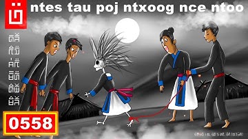 dab hais hmoob - 0558 - ntes tau poj ntxoog nce ntoo coj los yug