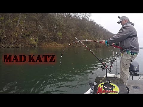 The MAD KATZ Rod Takes A Bend! (Ft. Reel Beasts) 