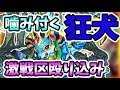 【モンスト】狂犬に大変身！アヌビス獣神化使ってみた！【よーくろGames】