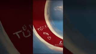 Türk Bayrağı Çizimi Yağlı Boya Ile . Duvar Yüzeyi̇ne Resi̇m.duvar Ressami Metin Durmuş Duvardaki̇ Sanat