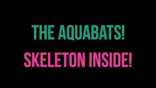 The Aquabats! - Skeleton Inside! [Karaoke]