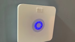 Ring system test 6 (crazy loud Amazon Alexa’s)