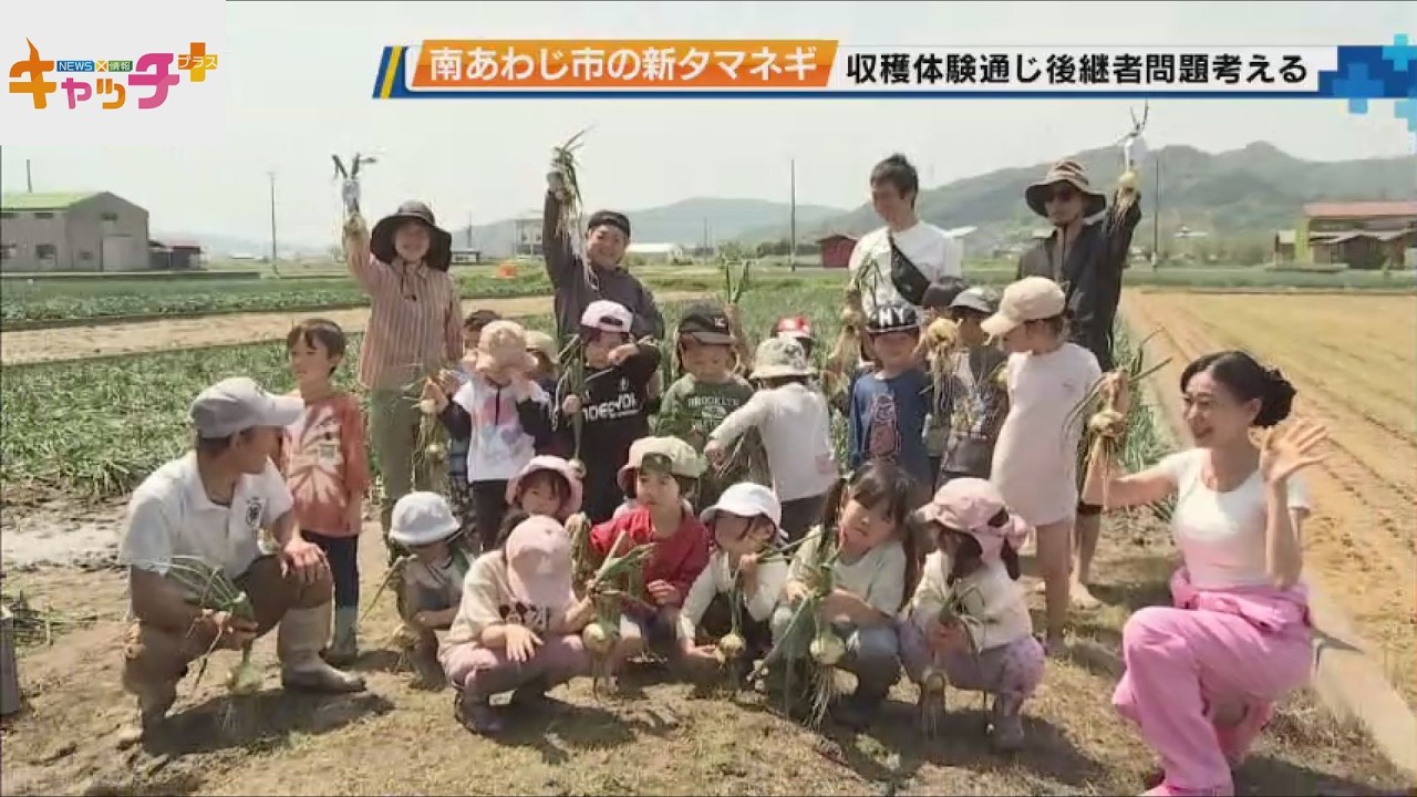 New onion harvesting experience held in Minami-Awaji City to