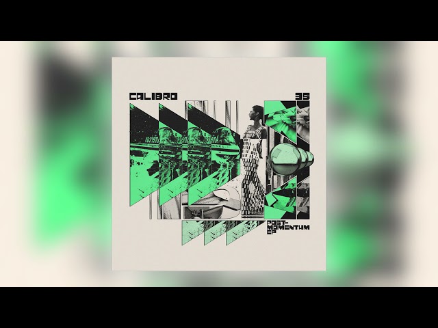 Calibro 35 - Digi Tails / Stan Lee