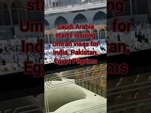 Saudi Arabia start issuing umrah visa for Pakistan, India Egypt #shorts || taste n crave