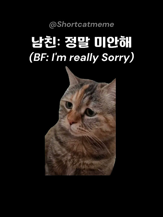 The Difference Between Boyfriend And Husband YouTube the-difference-between-boyfriend-and-husband-youtube