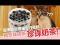 小貓生日！跟滴妹交換生日蛋糕！小貓們都一歲啦【貓副食食譜】好味貓鮮食廚房EP147