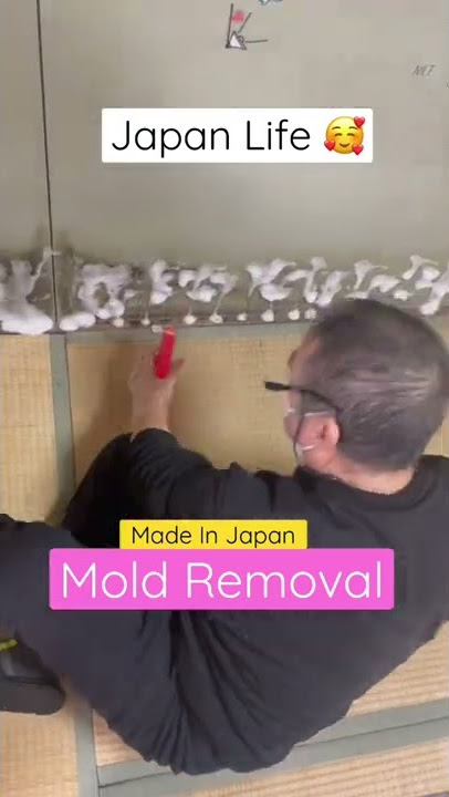 Japan Life, Made In Japan Mold Removal