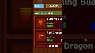 Download Lagu How To Find Jandel Secret Shop In Grow A Garden #roblox #robloxshorts #growagarden MP3 Download Lagu How To Find Jandel Secret Shop In Grow A Garden #roblox #robloxshorts #growagarden MP3