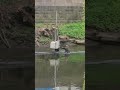 This is why Engineers should be respected🫡💪🇬🇧#nature #viral #subscribe #shorts #engineerslife #pov