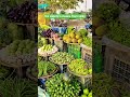 Indian fresh vegetables market morning 🌄🫑🥬🥦🫛 #vegetables #fresh #freshmornings #morning #market