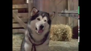 White Fang S1 E14 Burnt River