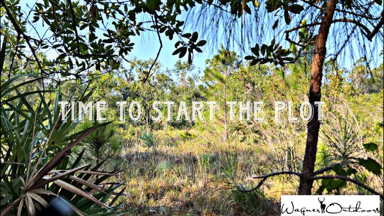 Hunting Haven YouTube