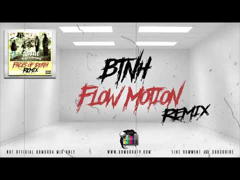 BTNH - Flow Motion (Remix)
