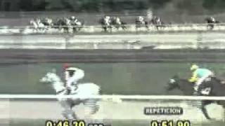Star Runner Gran Premio Repblica Argentina 2011 G1 Hipdromo Palermo.wmv