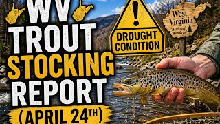 Celebrity WV Stocking Report (April 24th)  Wealth