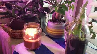 436. "Who Is on the Lord's Side?" on the Flute