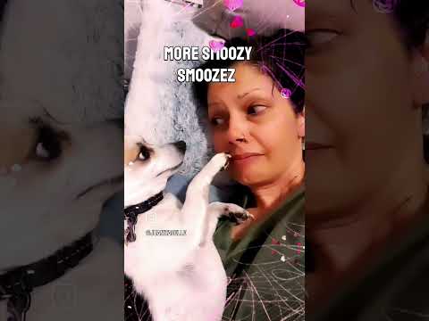 Pastelink's Juanita Belle: A Viral Sensation